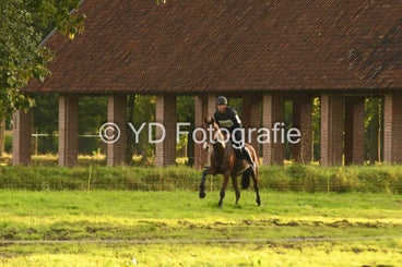 20241013-dsc_5203-standard.jpg