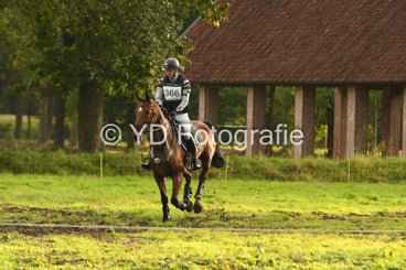 20241013-dsc_5231-standard.jpg