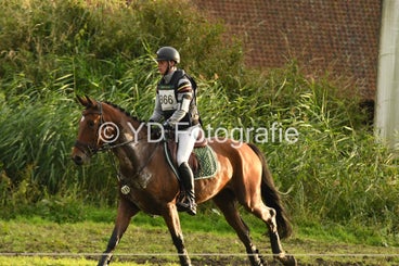 20241013-dsc_5237-standard.jpg