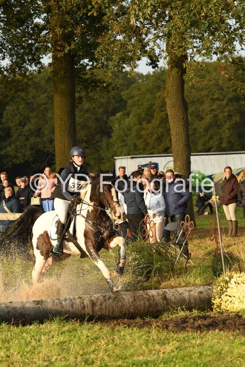 20241013-dsc_5274-standard.jpg