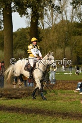 20241013-dsc_5310-standard.jpg