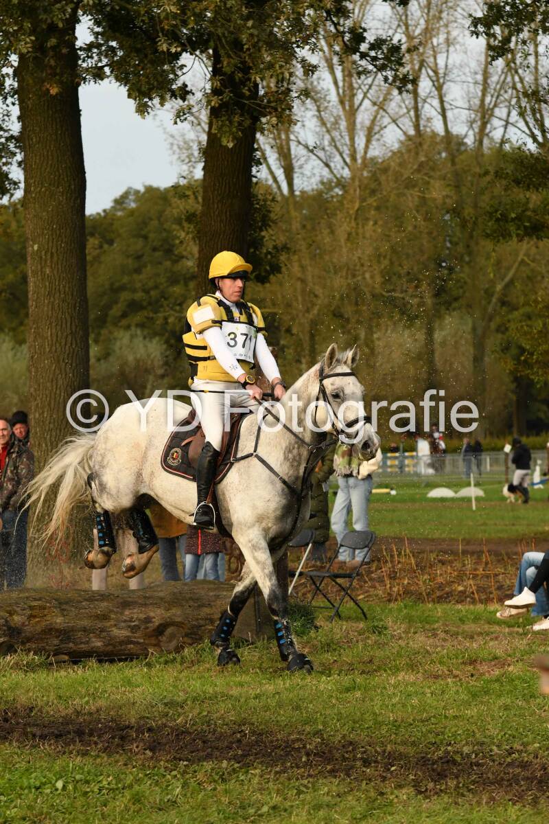20241013-dsc_5310-standard.jpg