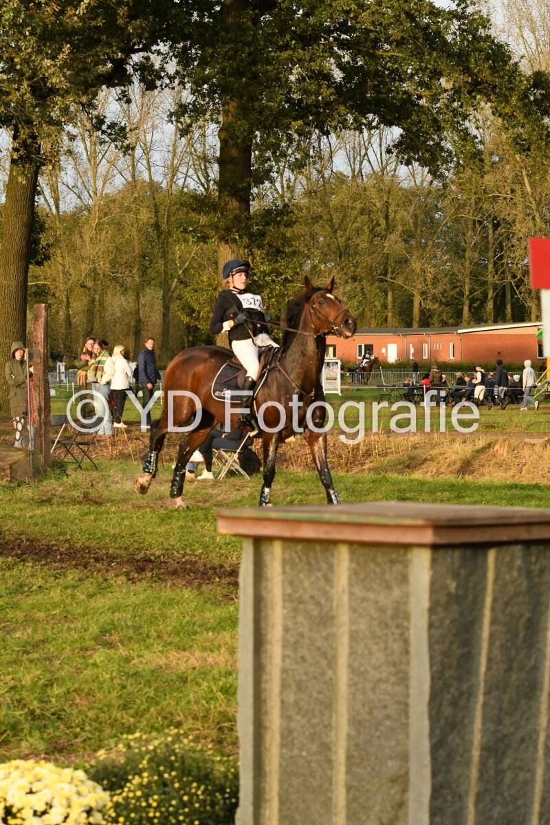20241013-dsc_5361-standard.jpg