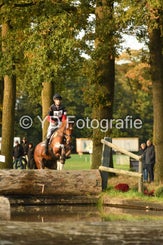 20241013-dsc_5496-standard.jpg