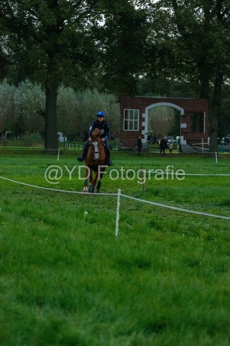 20241013-dsc_8380-standard.jpg