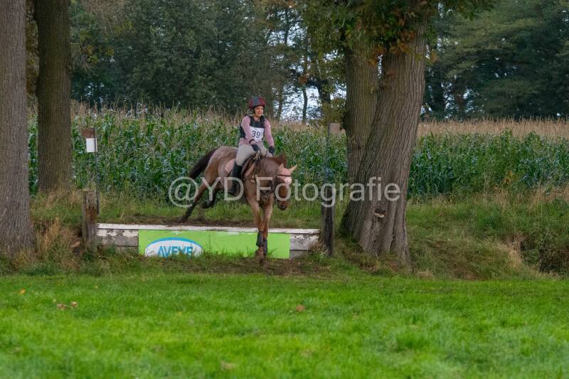 20241013-dsc_8723-standard.jpg