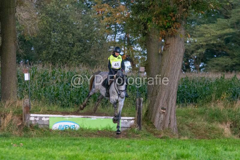 20241013-dsc_8772-standard.jpg