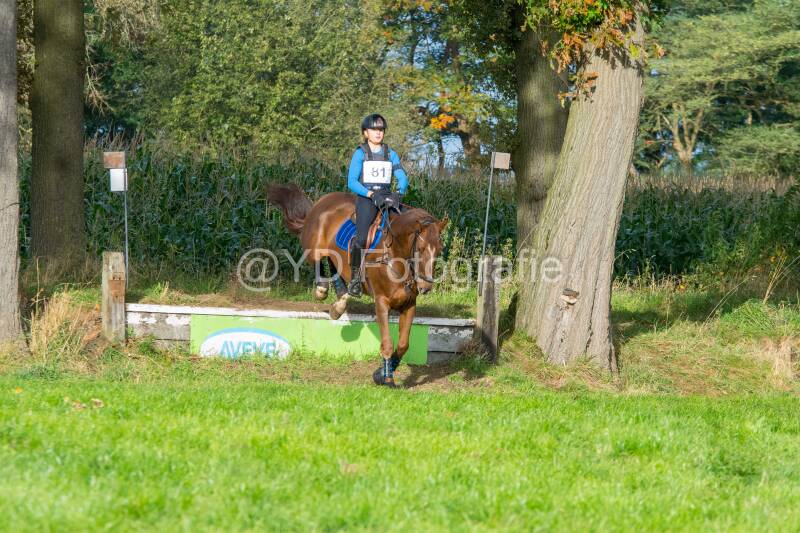 20241013-dsc_9092-standard.jpg
