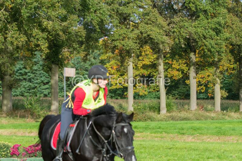 20241013-dsc_9124-standard.jpg
