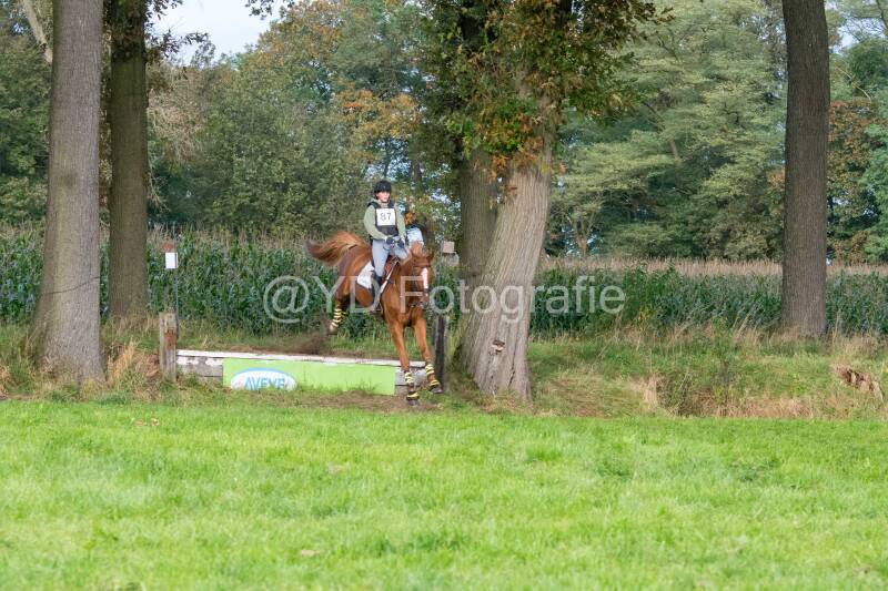 20241013-dsc_9144-standard.jpg