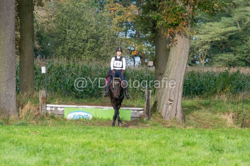 20241013-dsc_9165-standard.jpg