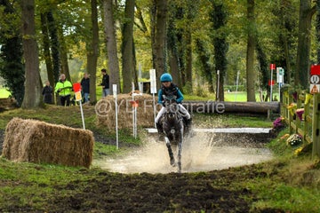 20241019-dsc_7218-standard-f70cxd.jpg