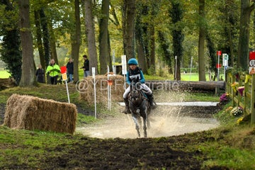 20241019-dsc_7219-standard-pjh1fl.jpg