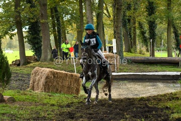 20241019-dsc_7225-standard-n7o574.jpg