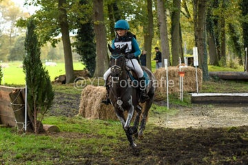 20241019-dsc_7227-standard-ukyoef.jpg