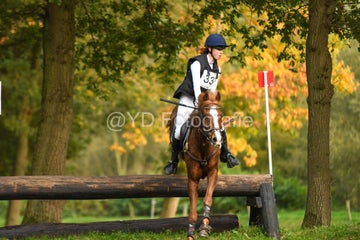 20241019-dsc_7236-standard-4ibbsz.jpg