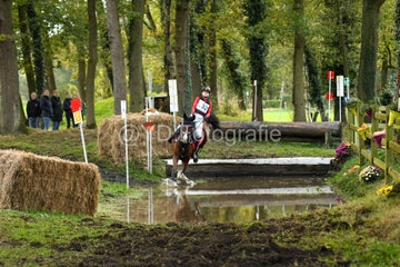 20241019-dsc_7246-standard-bgrvfx.jpg