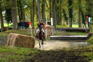 20241019-dsc_7256-standard-n1ee2s.jpg
