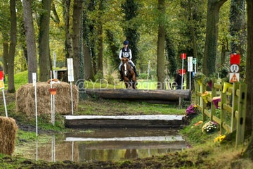 20241019-dsc_7259-standard-yx43l6.jpg