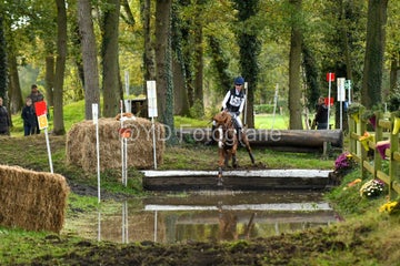 20241019-dsc_7269-standard-1uqbrf.jpg