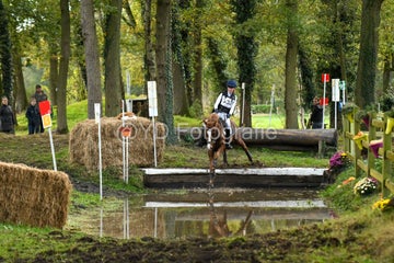 20241019-dsc_7270-standard-y9iw96.jpg