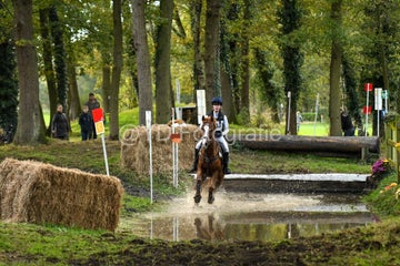 20241019-dsc_7277-standard-7xjfzi.jpg