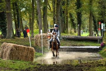 20241019-dsc_7281-standard-vs85yh.jpg