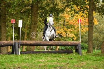 20241019-dsc_7287-standard-u64v40.jpg