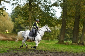 20241019-dsc_7292-standard-08ylvw.jpg