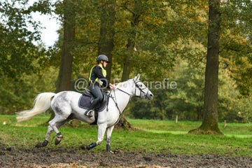 20241019-dsc_7294-standard-dezekw.jpg