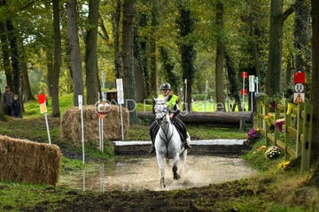 20241019-dsc_7317-standard-ytskfy.jpg