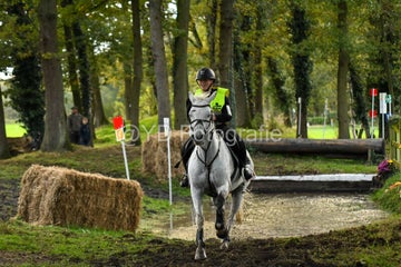 20241019-dsc_7323-standard-kuhrlk.jpg