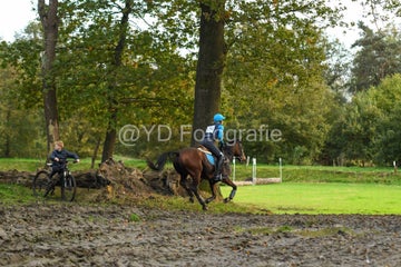 20241019-dsc_7327-standard-t4h5x8.jpg