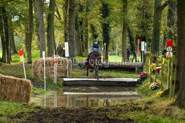 20241019-dsc_7332-standard-s263um.jpg