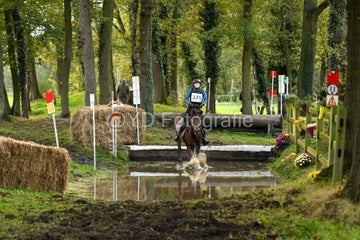 20241019-dsc_7334-standard-66vqyn.jpg