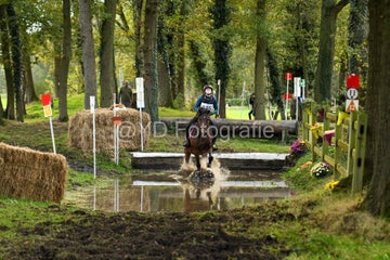 20241019-dsc_7335-standard-a7aofe.jpg
