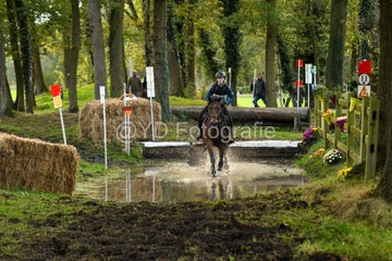 20241019-dsc_7338-standard-37evq9.jpg