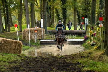 20241019-dsc_7339-standard-te40mo.jpg