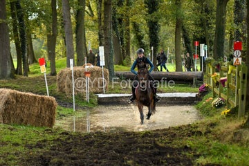 20241019-dsc_7341-standard-zqzfw2.jpg