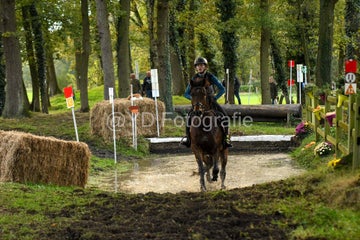 20241019-dsc_7344-standard-84ngmx.jpg