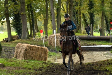 20241019-dsc_7348-standard-b05l2n.jpg