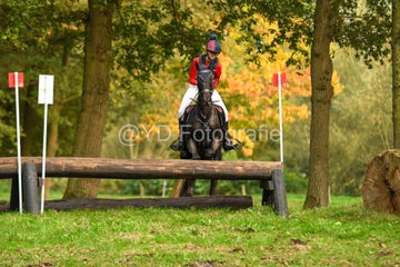 20241019-dsc_7362-standard-9wd7tr.jpg