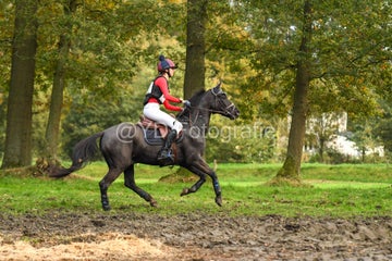 20241019-dsc_7366-standard-mu2lhq.jpg