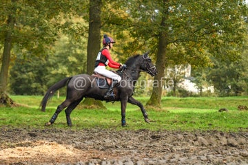 20241019-dsc_7367-standard-iunf3p.jpg