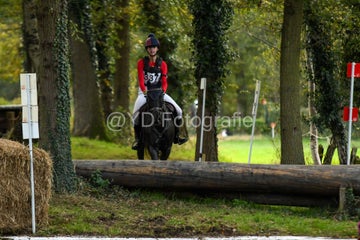 20241019-dsc_7368-standard-see71j.jpg