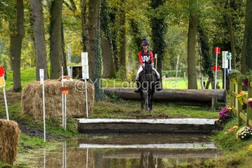 20241019-dsc_7373-standard-s2ceow.jpg