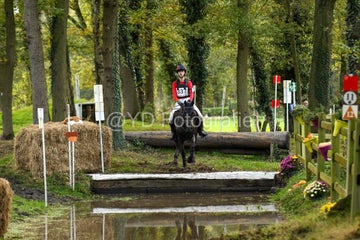 20241019-dsc_7375-standard-7k79uv.jpg