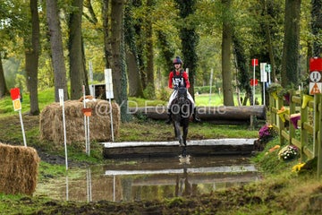20241019-dsc_7377-standard-mt0m18.jpg