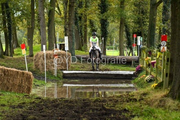 20241019-dsc_7410-standard-cfk7br.jpg