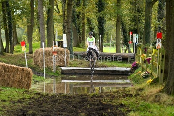 20241019-dsc_7411-standard-jhbtdt.jpg